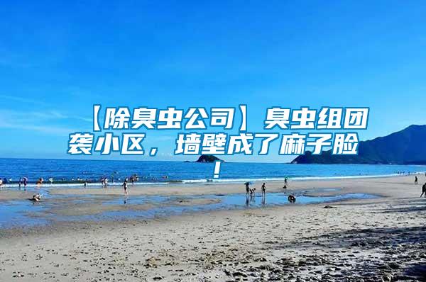 【除臭蟲公司】臭蟲組團襲小區，墻壁成了麻子臉！