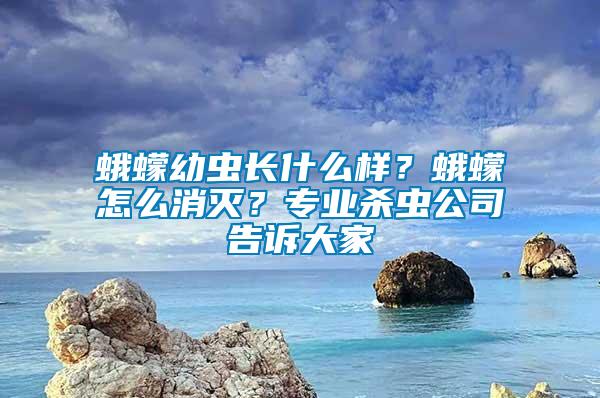 蛾蠓幼蟲長什么樣？蛾蠓怎么消滅？專業(yè)殺蟲公司告訴大家