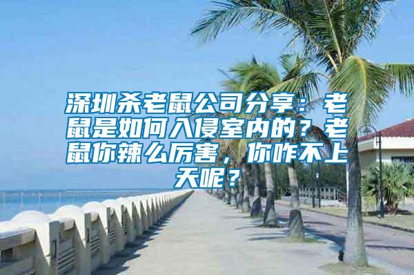 深圳殺老鼠公司分享：老鼠是如何入侵室內的？老鼠你辣么厲害，你咋不上天呢？