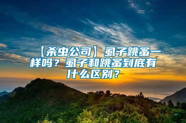【殺蟲公司】虱子跳蚤一樣嗎？虱子和跳蚤到底有什么區別？