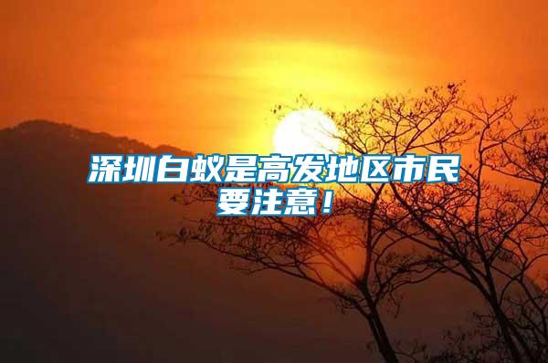 深圳白蟻是高發地區市民要注意！