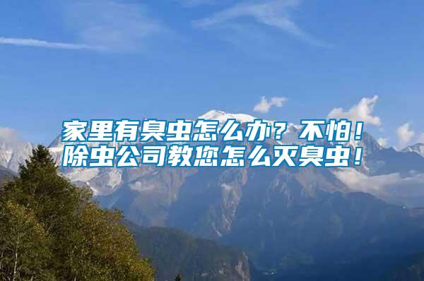 家里有臭蟲怎么辦？不怕！除蟲公司教您怎么滅臭蟲！
