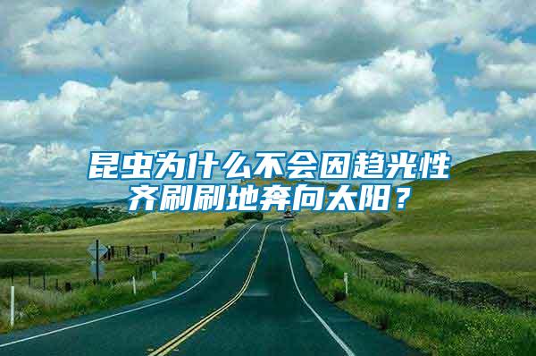 昆蟲為什么不會(huì)因趨光性齊刷刷地奔向太陽(yáng)？