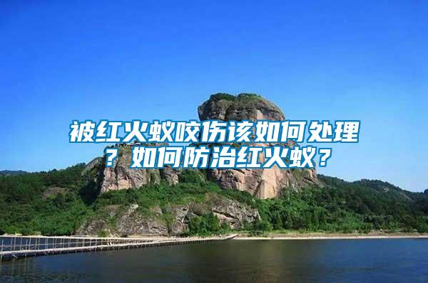 被紅火蟻咬傷該如何處理？如何防治紅火蟻？