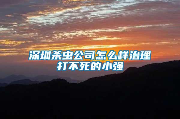 深圳殺蟲(chóng)公司怎么樣治理打不死的小強(qiáng)