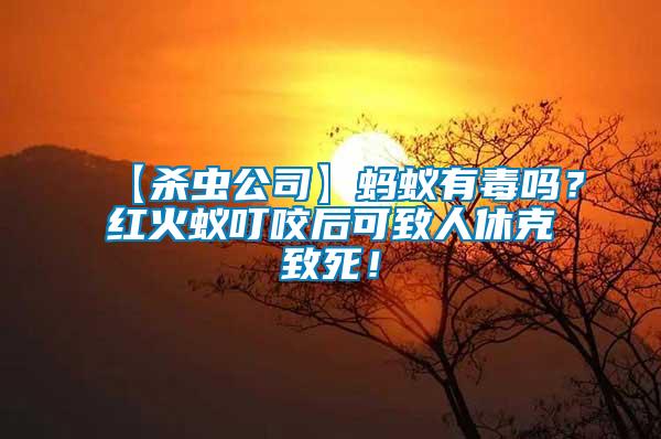 【殺蟲(chóng)公司】螞蟻有毒嗎？紅火蟻叮咬后可致人休克致死！
