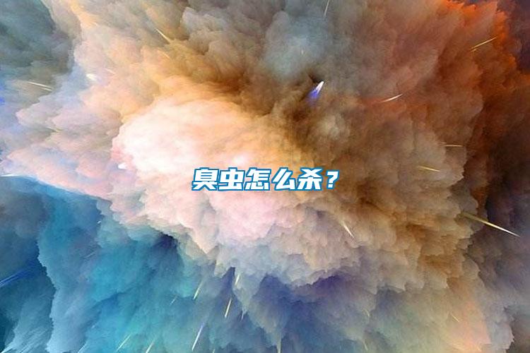 臭蟲怎么殺？
