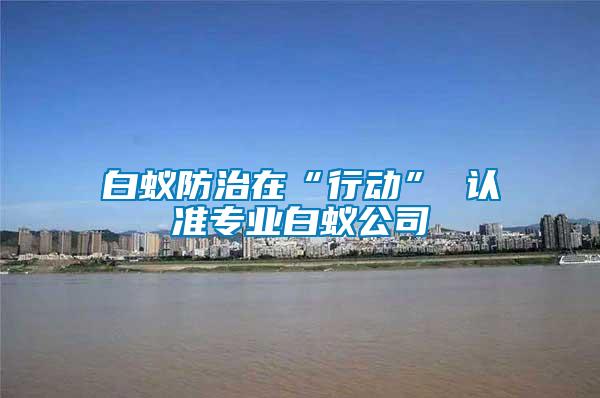 白蟻防治在“行動” 認準(zhǔn)專業(yè)白蟻公司