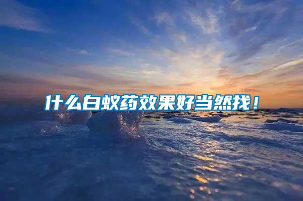 什么白蟻藥效果好當然找！