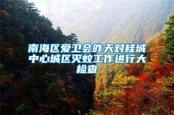 南海區(qū)愛衛(wèi)會(huì)昨天對(duì)桂城中心城區(qū)滅蚊工作進(jìn)行大檢查