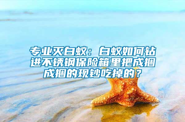 專業(yè)滅白蟻：白蟻如何鉆進不銹鋼保險箱里把成捆成捆的現(xiàn)鈔吃掉的？
