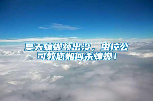 夏天蟑螂頻出沒，蟲控公司教您如何殺蟑螂！