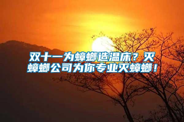 雙十一為蟑螂造溫床？滅蟑螂公司為你專業(yè)滅蟑螂！