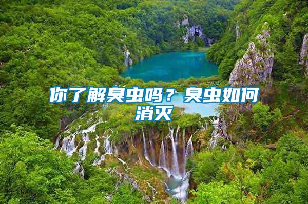 你了解臭蟲(chóng)嗎？臭蟲(chóng)如何消滅