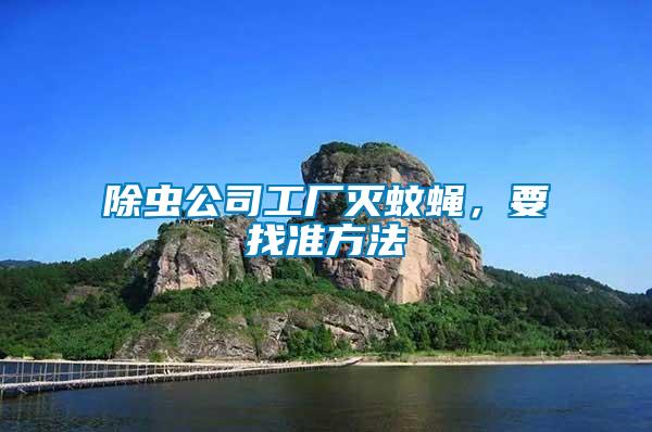 除蟲公司工廠滅蚊蠅，要找準方法