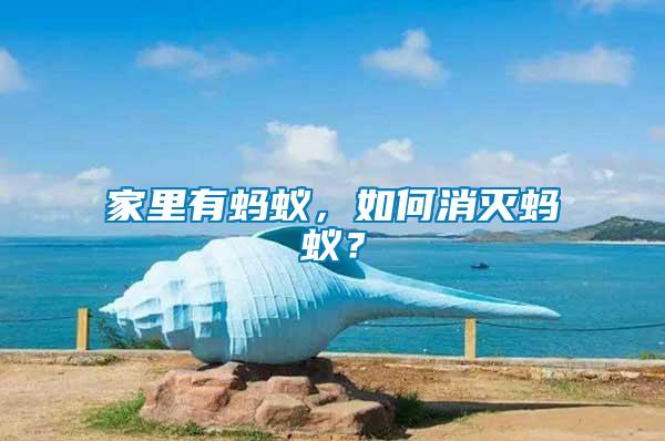 家里有螞蟻，如何消滅螞蟻？