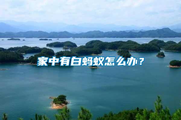 家中有白螞蟻怎么辦？
