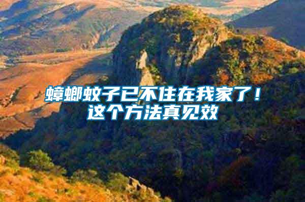 蟑螂蚊子已不住在我家了！這個方法真見效