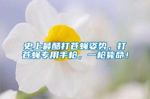 史上最酷打蒼蠅姿勢(shì)，打蒼蠅專(zhuān)用手槍?zhuān)粯寯烂?/></p>
             <p style=
