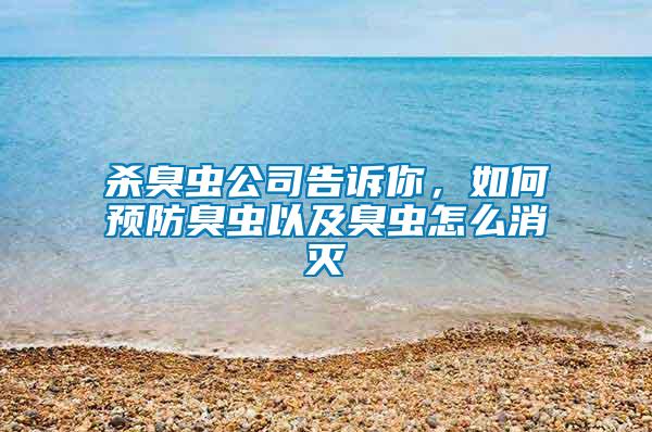 殺臭蟲公司告訴你，如何預防臭蟲以及臭蟲怎么消滅
