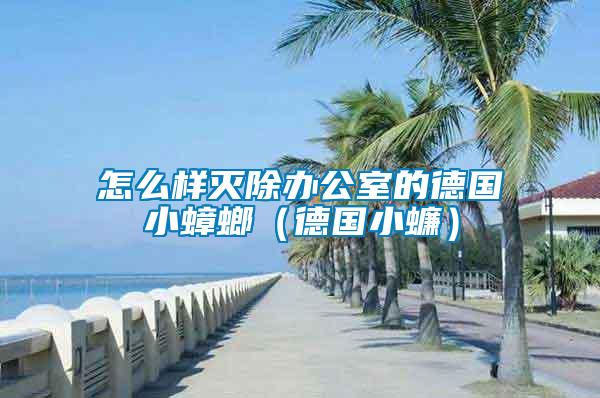 怎么樣滅除辦公室的德國(guó)小蟑螂（德國(guó)小蠊）