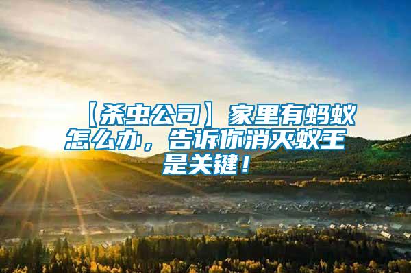【殺蟲公司】家里有螞蟻怎么辦，告訴你消滅蟻王是關鍵！