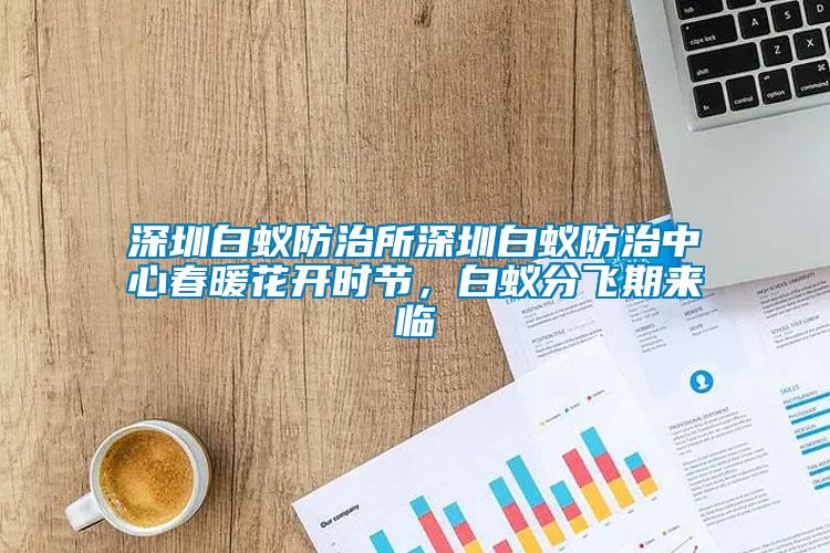 深圳白蟻防治所深圳白蟻防治中心春暖花開時節，白蟻分飛期來臨