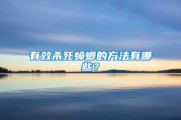 有效殺死蟑螂的方法有哪些？
