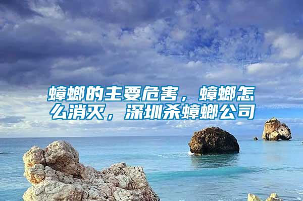 蟑螂的主要危害，蟑螂怎么消滅，深圳殺蟑螂公司