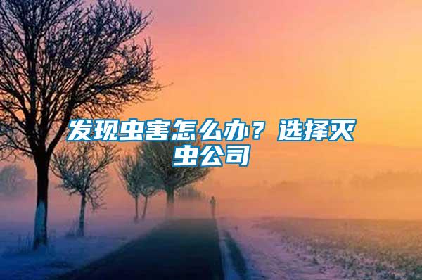 發(fā)現蟲害怎么辦？選擇滅蟲公司