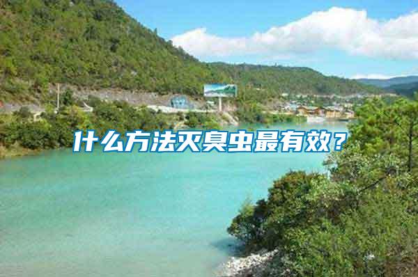 什么方法滅臭蟲最有效？