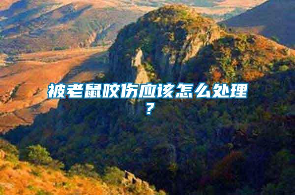 被老鼠咬傷應該怎么處理？