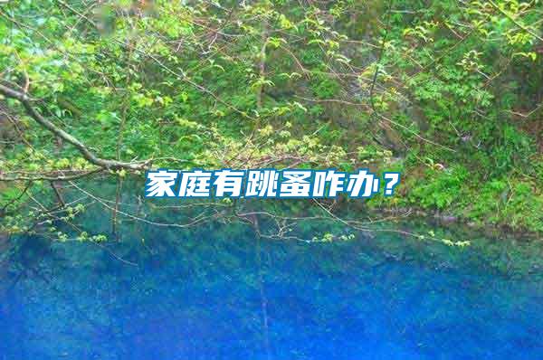 家庭有跳蚤咋辦？