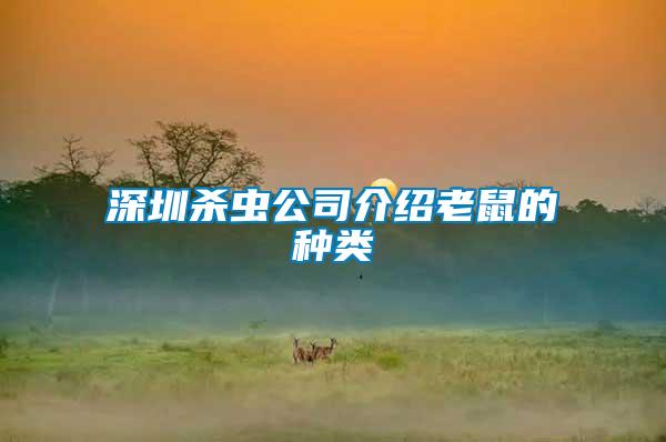 深圳殺蟲(chóng)公司介紹老鼠的種類(lèi)
