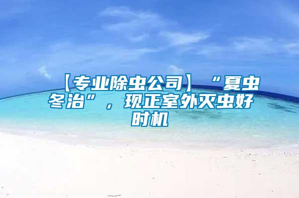 【專(zhuān)業(yè)除蟲(chóng)公司】“夏蟲(chóng)冬治”，現(xiàn)正室外滅蟲(chóng)好時(shí)機(jī)
