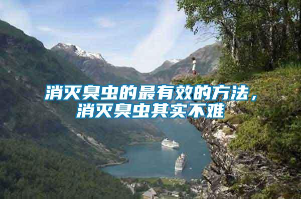 消滅臭蟲的最有效的方法，消滅臭蟲其實不難