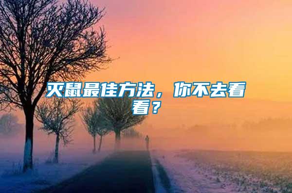 滅鼠最佳方法，你不去看看？