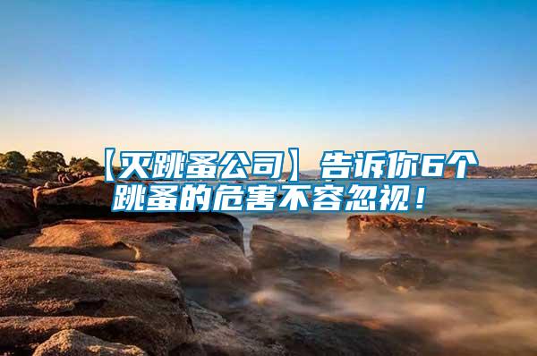 【滅跳蚤公司】告訴你6個跳蚤的危害不容忽視！