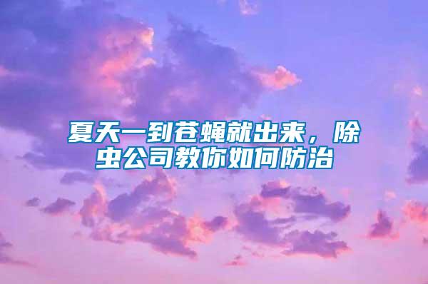 夏天一到蒼蠅就出來，除蟲公司教你如何防治