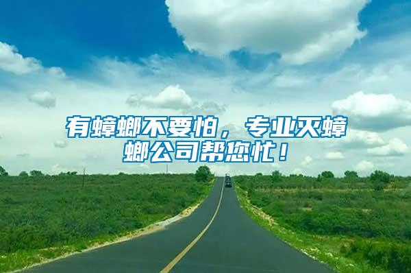 有蟑螂不要怕，專業(yè)滅蟑螂公司幫您忙！