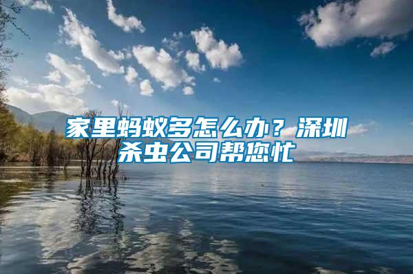 家里螞蟻多怎么辦？深圳殺蟲公司幫您忙