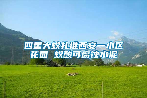 四星大蟻扎堆西安一小區花園 蟻酸可腐蝕水泥