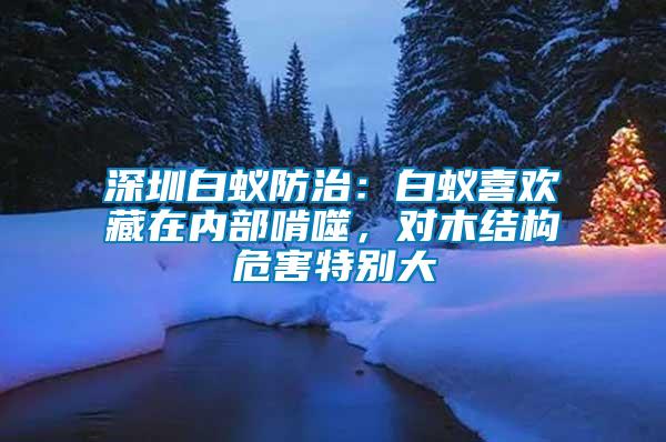 深圳白蟻防治：白蟻喜歡藏在內部啃噬，對木結構危害特別大