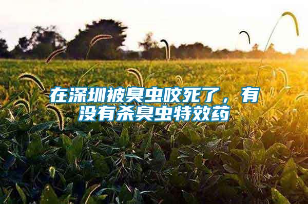 在深圳被臭蟲咬死了，有沒有殺臭蟲特效藥