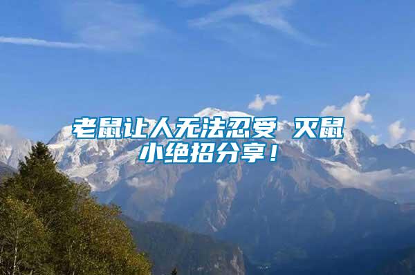 老鼠讓人無法忍受 滅鼠小絕招分享！
