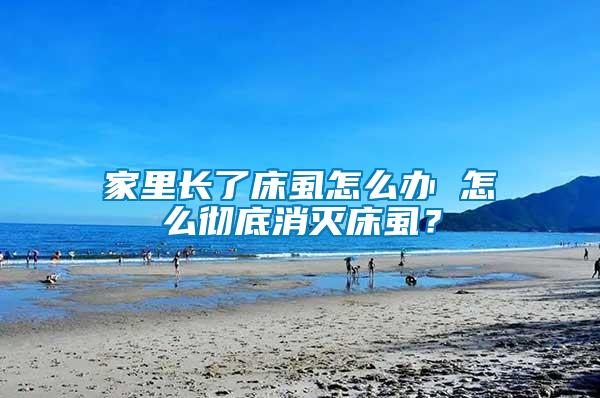 家里長了床虱怎么辦 怎么徹底消滅床虱？