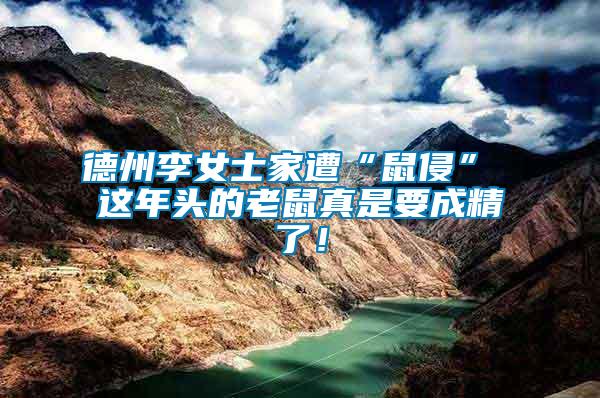 德州李女士家遭“鼠侵” 這年頭的老鼠真是要成精了！