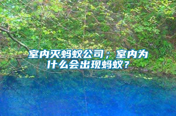 室內(nèi)滅螞蟻公司；室內(nèi)為什么會出現(xiàn)螞蟻？