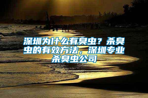 深圳為什么有臭蟲？殺臭蟲的有效方法，深圳專業(yè)殺臭蟲公司