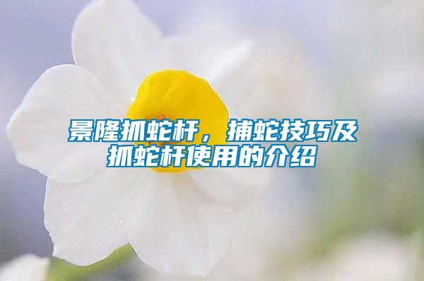 景隆抓蛇桿，捕蛇技巧及抓蛇桿使用的介紹